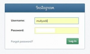 Instagram: Jantung Bisnis Online Anda di Era Digital
